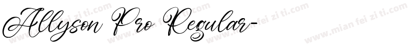 Allyson Pro Regular字体转换